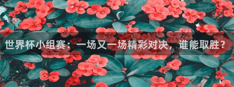 世界杯2026赛程时间表格：世界杯小组赛：一场又一场精彩对决，谁能取胜？
