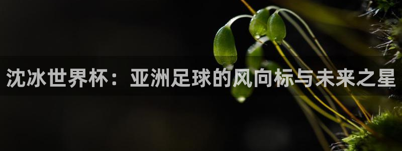 世界杯直播网站：沈冰世界杯：亚洲足球的风向标与未来之星