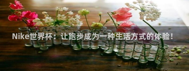 世界杯2026预选赛：Nike世界杯：让跑步成为一种生活方式的体验！