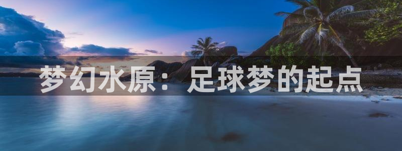2026年世界杯直播平台：梦幻水原：足球梦的起点