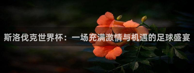 2026年男足世界杯：斯洛伐克世界杯：一场充满激情与机遇的足球盛宴