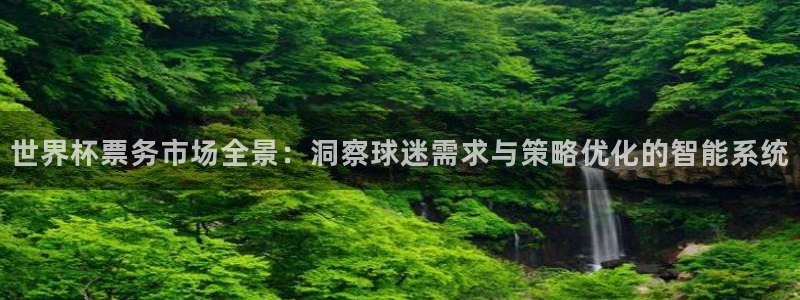 世界杯2026预选赛：世界杯票务市场全景：洞察球迷需求与策略优化的智能系统