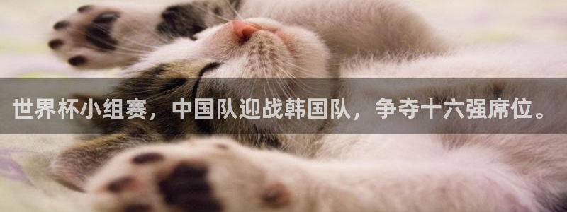 西超杯直播：世界杯小组赛，中国队迎战韩国队，争夺十六强席位。