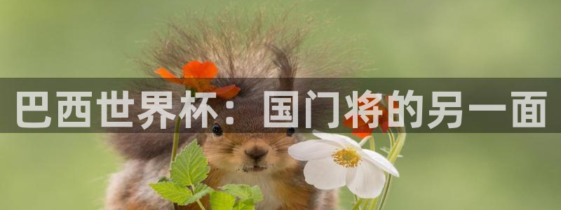 今年的世界杯：巴西世界杯：国门将的另一面