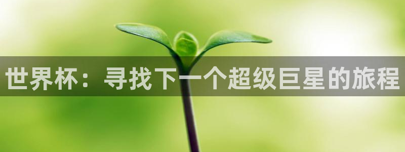 世界杯系列赛：世界杯：寻找下一个超级巨星的旅程