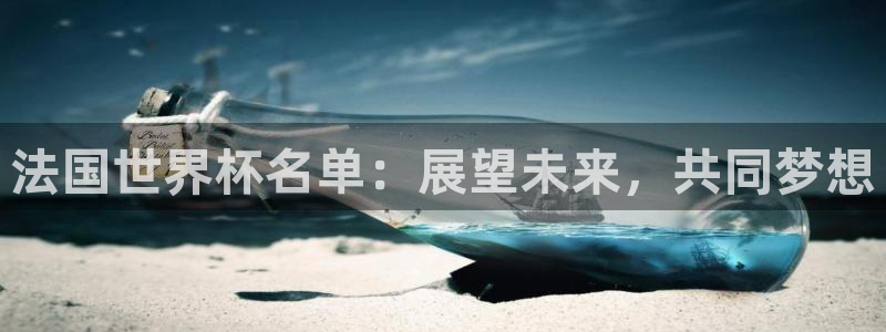 世界杯直播网：法国世界杯名单：展望未来，共同梦想